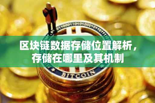 区块链数据存储位置解析，存储在哪里及其机制
