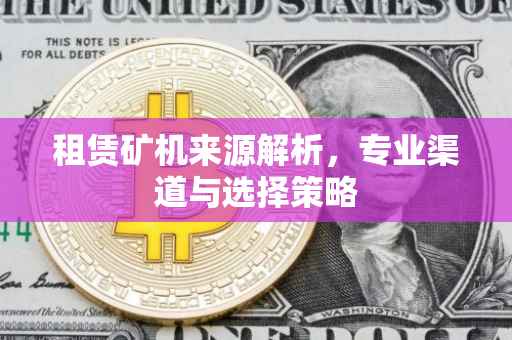 租赁矿机来源解析，专业渠道与选择策略