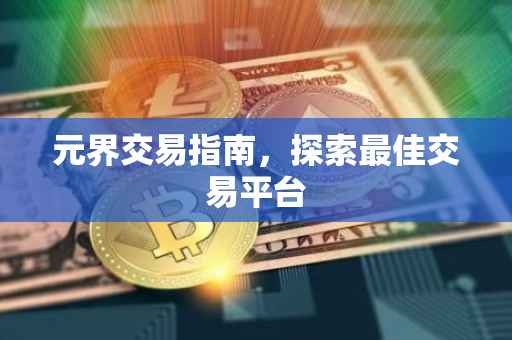 元界交易指南，探索最佳交易平台