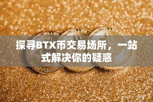 探寻BTX币交易场所，一站式解决你的疑惑
