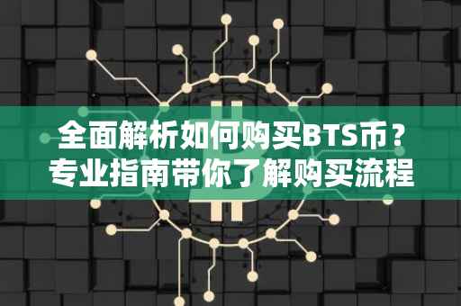 全面解析如何购买BTS币？专业指南带你了解购买流程