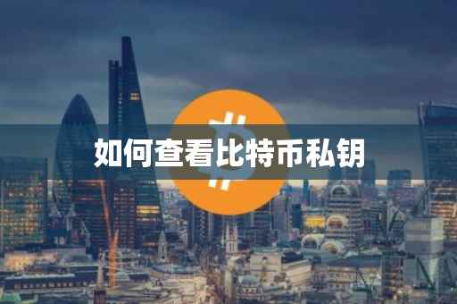 如何查看比特币私钥