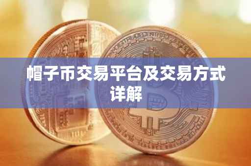 帽子币交易平台及交易方式详解