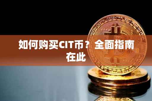 如何购买CIT币？全面指南在此