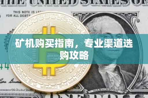 矿机购买指南,专业渠道选购攻略