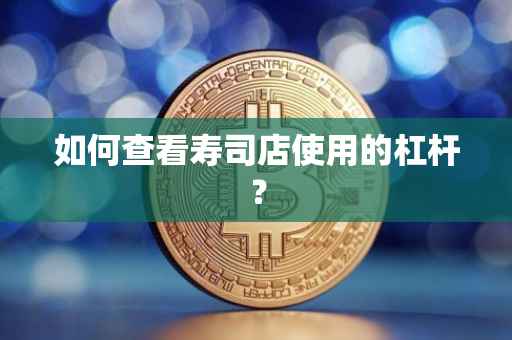 如何查看寿司店使用的杠杆?