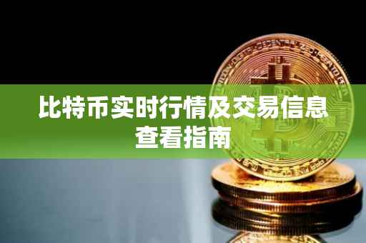 比特币实时行情及交易信息查看指南