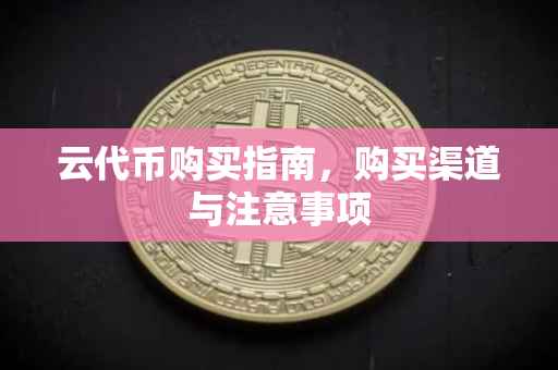 云代币购买指南,购买渠道与注意事项