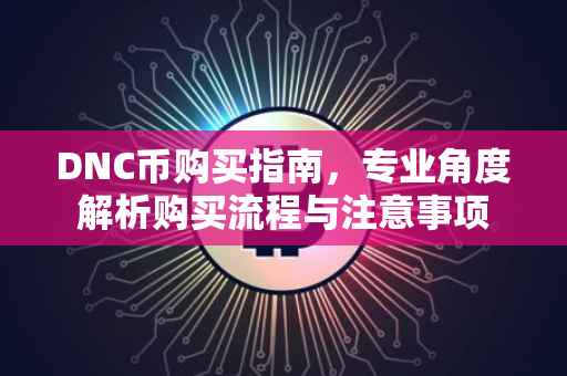 DNC币购买指南，专业角度解析购买流程与注意事项