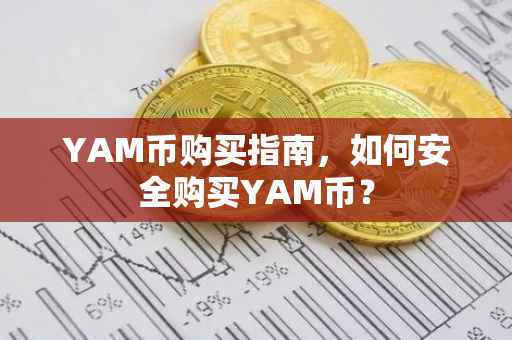 YAM币购买指南,如何安全购买YAM币?
