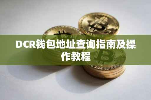DCR钱包地址查询指南及操作教程