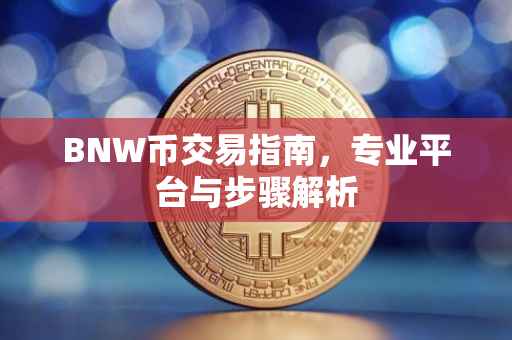 BNW币交易指南，专业平台与步骤解析