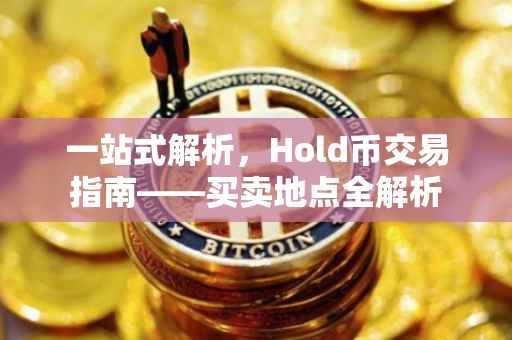 一站式解析，Hold币交易指南——买卖地点全解析
