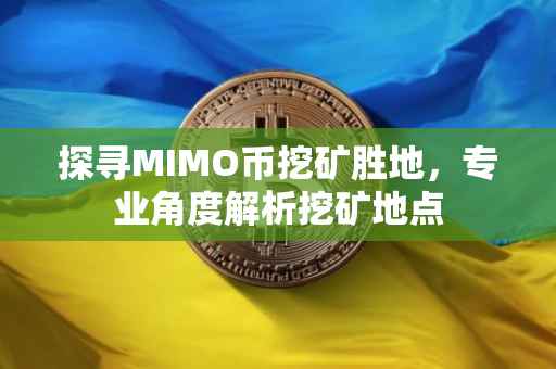 探寻MIMO币挖矿胜地，专业角度解析挖矿地点
