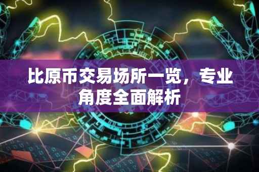 比原币交易场所一览,专业角度全面解析