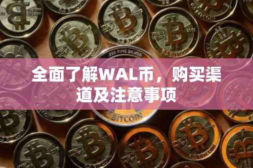 全面了解WAL币，购买渠道及注意事项