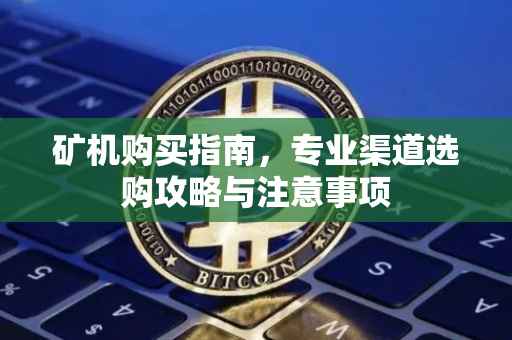 矿机购买指南，专业渠道选购攻略与注意事项