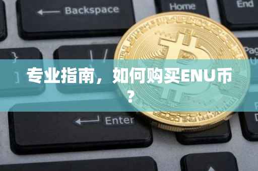 专业指南，如何购买ENU币？