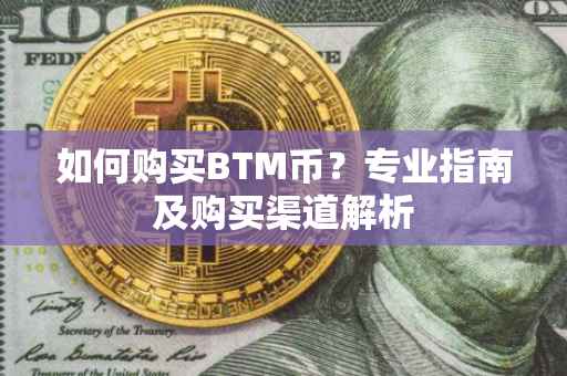 如何购买BTM币？专业指南及购买渠道解析