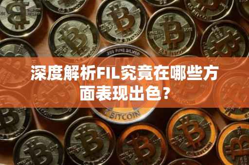 深度解析FIL究竟在哪些方面表现出色？