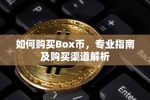 如何购买Box币，专业指南及购买渠道解析