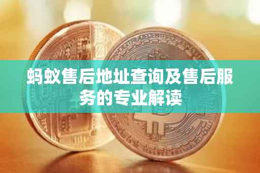 蚂蚁售后地址查询及售后服务的专业解读