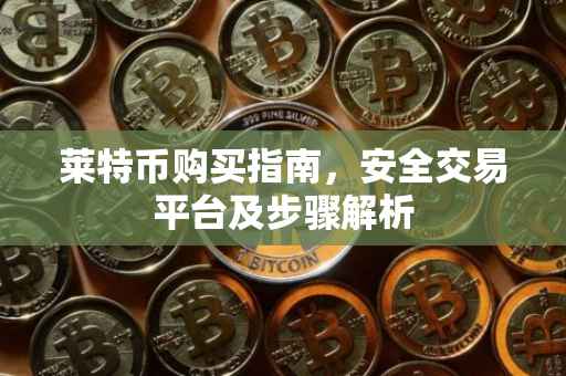 莱特币购买指南，安全交易平台及步骤解析