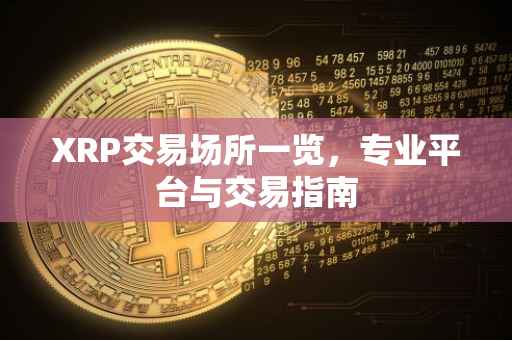 XRP交易场所一览，专业平台与交易指南