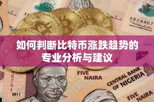 如何判断比特币涨跌趋势的专业分析与建议