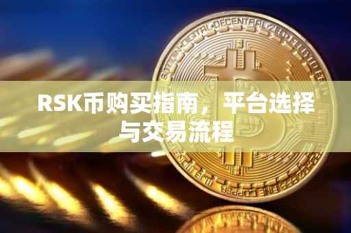 RSK币购买指南，平台选择与交易流程