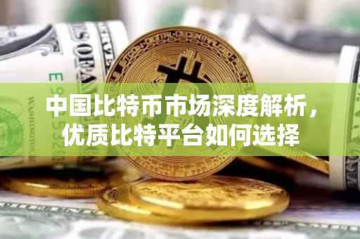 中国比特币市场深度解析，优质比特平台如何选择
