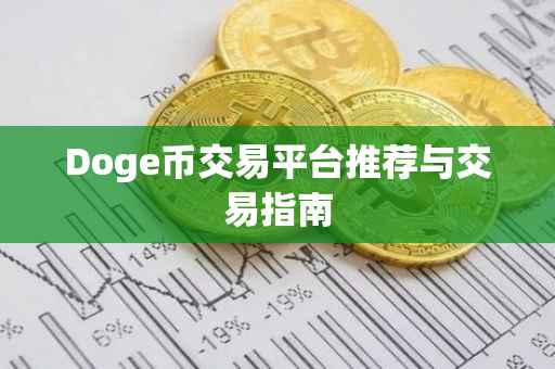 Doge币交易平台推荐与交易指南