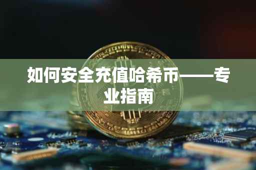 如何安全充值哈希币——专业指南