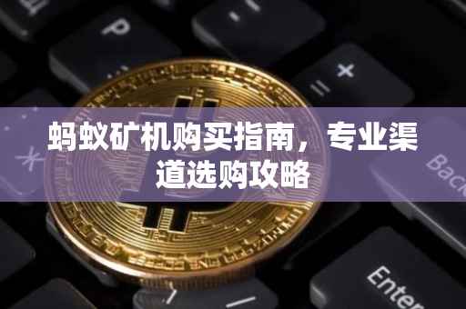 蚂蚁矿机购买指南，专业渠道选购攻略