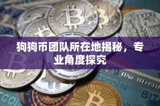 狗狗币团队所在地揭秘，专业角度探究