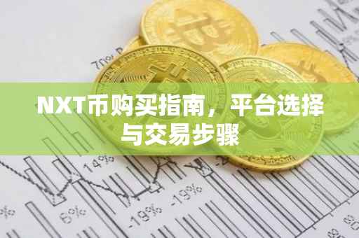 NXT币购买指南，平台选择与交易步骤