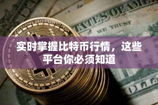实时掌握比特币行情，这些平台你必须知道