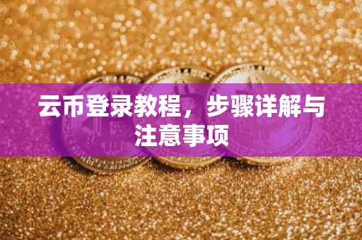 云币登录教程，步骤详解与注意事项
