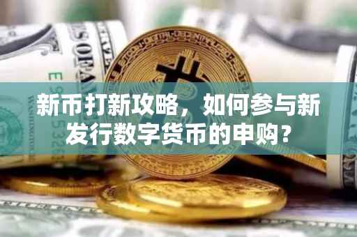 新币打新攻略，如何参与新发行数字货币的申购？