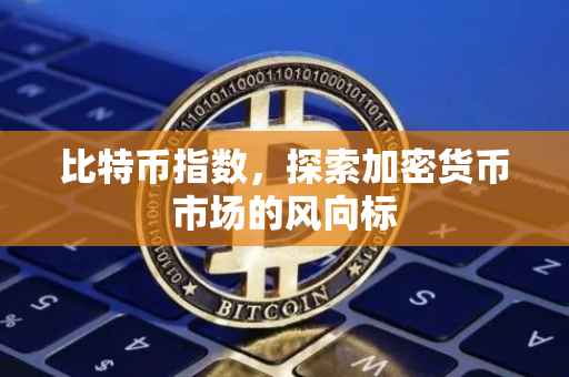 比特币指数，探索加密货币市场的风向标