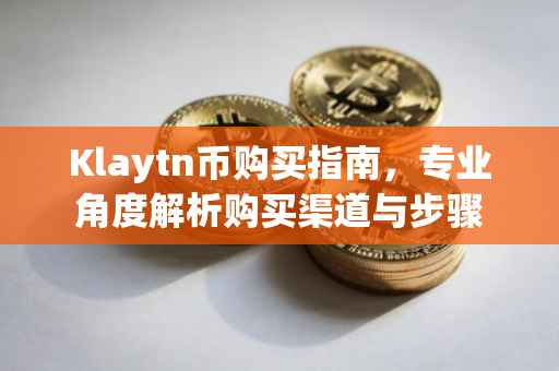 Klaytn币购买指南，专业角度解析购买渠道与步骤