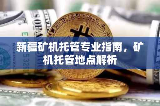 新疆矿机托管专业指南，矿机托管地点解析