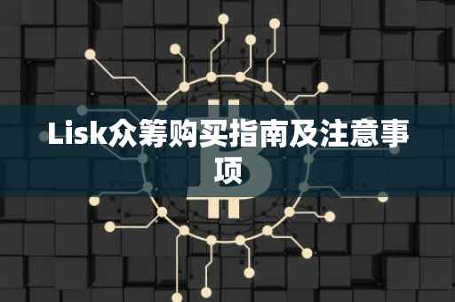 Lisk众筹购买指南及注意事项