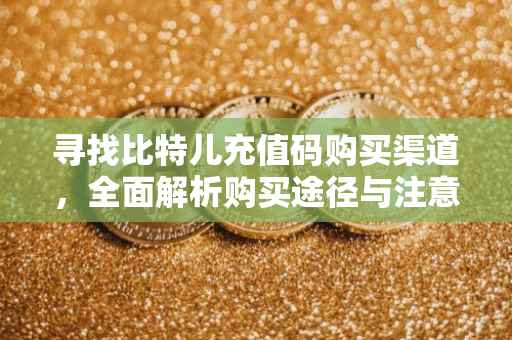 寻找比特儿充值码购买渠道，全面解析购买途径与注意事项