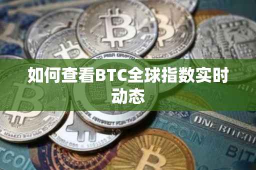 如何查看BTC全球指数实时动态