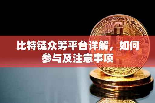 比特链众筹平台详解，如何参与及注意事项