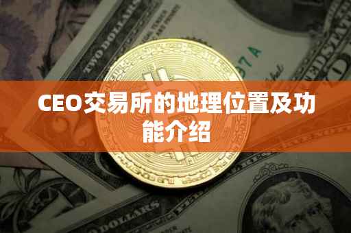 CEO交易所的地理位置及功能介绍