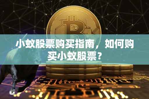 小蚁股票购买指南,如何购买小蚁股票?