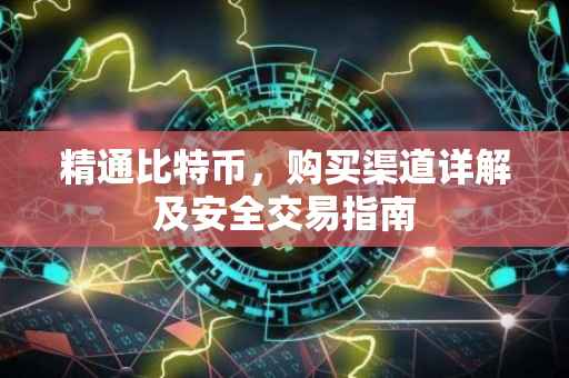 精通比特币,购买渠道详解及安全交易指南