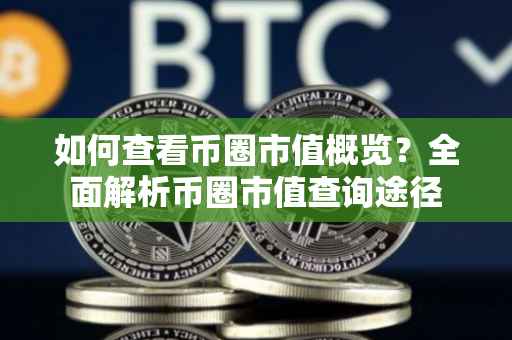 如何查看币圈市值概览？全面解析币圈市值查询途径